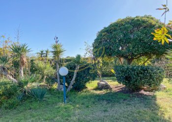 Foto 22 - Villa Contrada Losciale, Monopoli - foto 22