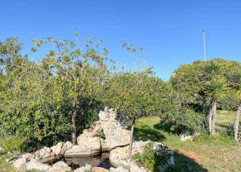 Foto 28 - Villa Contrada Losciale, Monopoli - foto 28