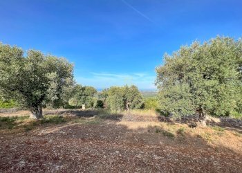 Foto 4 - Baita Contrada Torchiano, Monopoli - foto 4