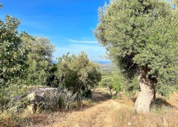 Foto 8 - Baita Contrada Torchiano, Monopoli - foto 8