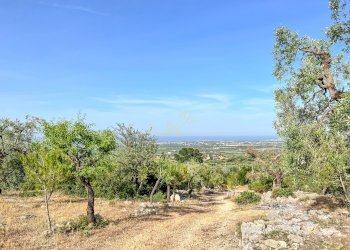 Foto 13 - Baita Contrada Torchiano, Monopoli - foto 13