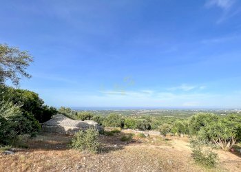 Foto 17 - Baita Contrada Torchiano, Monopoli - foto 17