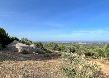 Foto 21 - Baita Contrada Torchiano, Monopoli - foto 21