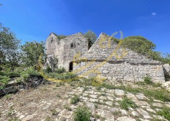 Foto 8 - Rustico C.da Bosco Selva, Alberobello - foto 8