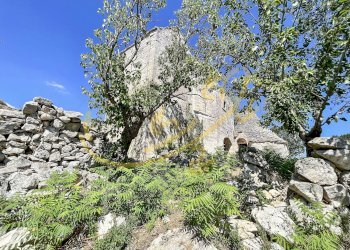 Foto 12 - Rustico C.da Bosco Selva, Alberobello - foto 12