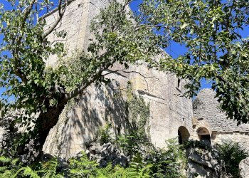 Foto 14 - Rustico C.da Bosco Selva, Alberobello - foto 14