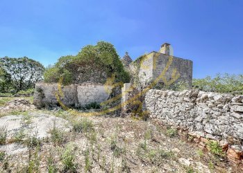 Foto 17 - Rustico C.da Bosco Selva, Alberobello - foto 17