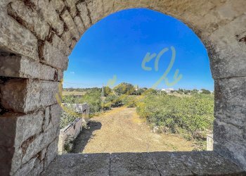 Foto 23 - Rustico C.da Bosco Selva, Alberobello - foto 23