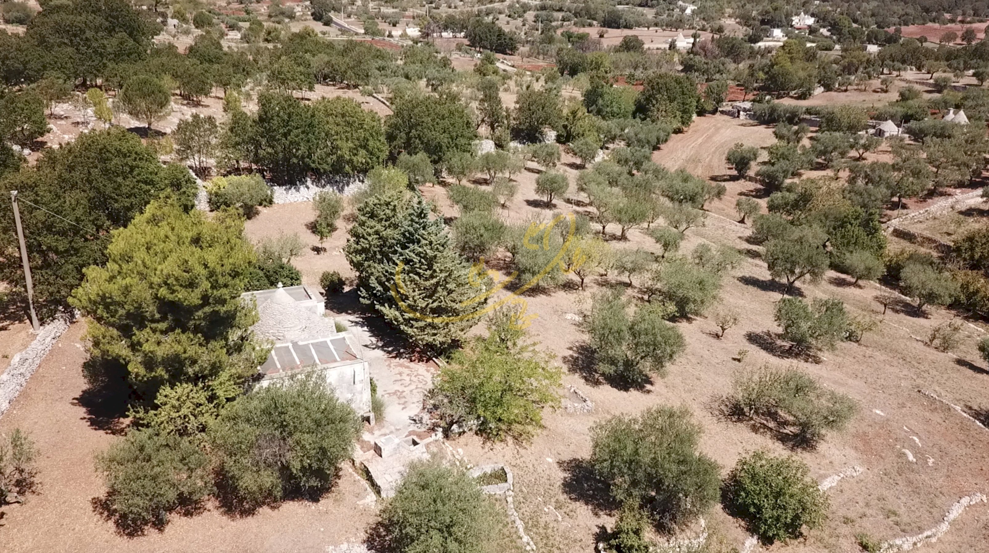 Foto 2 - Baita C.da Bosco Selva, Alberobello - foto 2