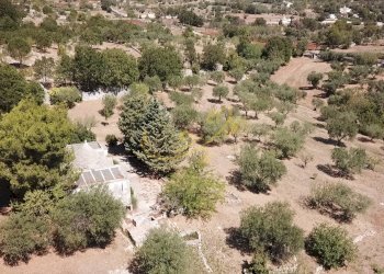 Foto 2 - Baita C.da Bosco Selva, Alberobello - photo 2