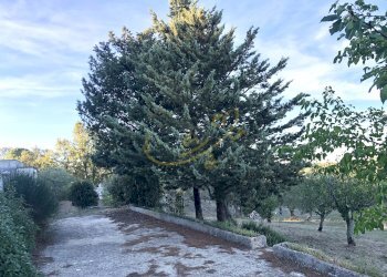 Foto 9 - Baita C.da Bosco Selva, Alberobello - photo 9