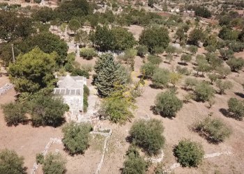 Foto 10 - Baita C.da Bosco Selva, Alberobello - photo 10