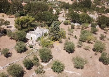 Foto 11 - Baita C.da Bosco Selva, Alberobello - photo 11