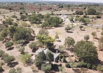 Foto 13 - Baita C.da Bosco Selva, Alberobello - photo 13