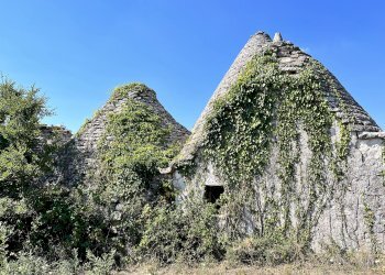 Foto 36 - Baita Strada Capitolo Colucci, Alberobello - photo 36