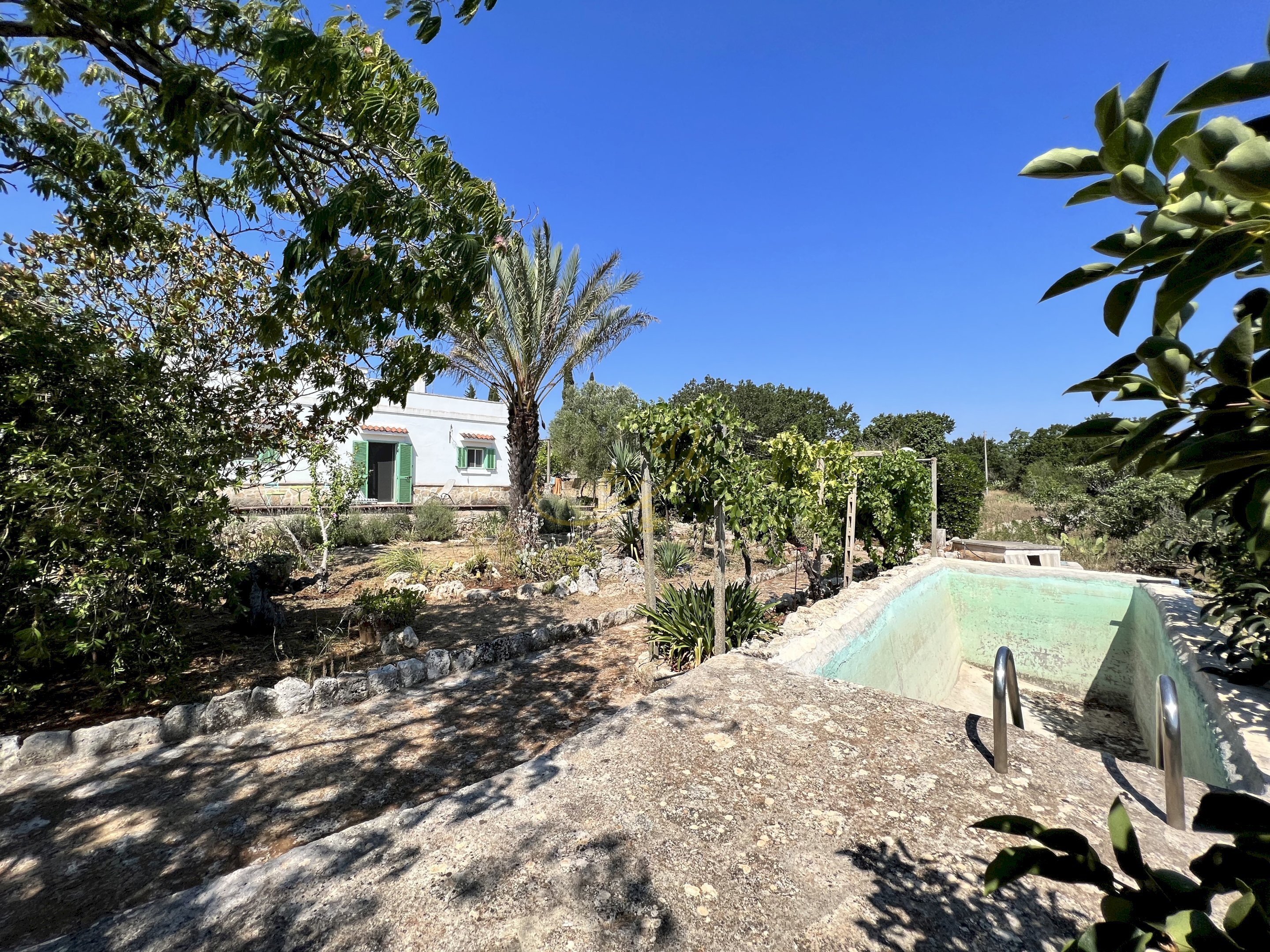 Foto 2 - Rustico Contrada Palascuso, Ceglie Messapica - foto 2