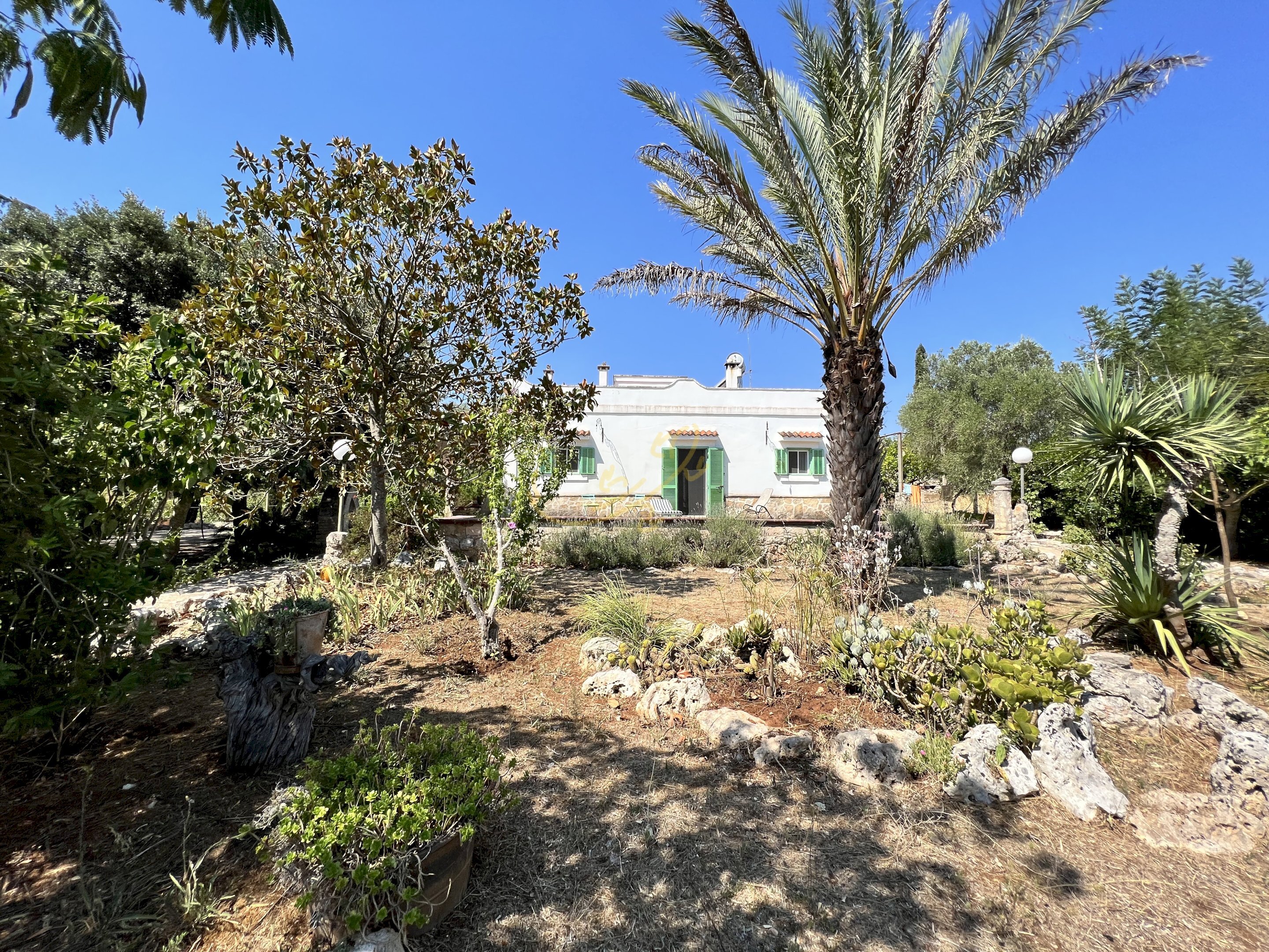 Foto 3 - Rustico Contrada Palascuso, Ceglie Messapica - foto 3