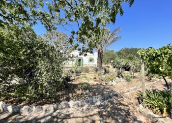 Foto 6 - Rustico Contrada Palascuso, Ceglie Messapica - foto 6