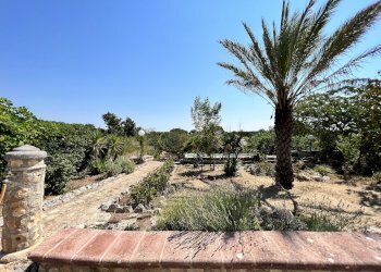 Foto 7 - Rustico Contrada Palascuso, Ceglie Messapica - foto 7