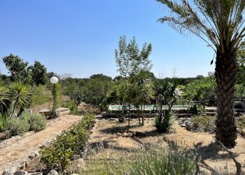 Foto 8 - Rustico Contrada Palascuso, Ceglie Messapica - foto 8