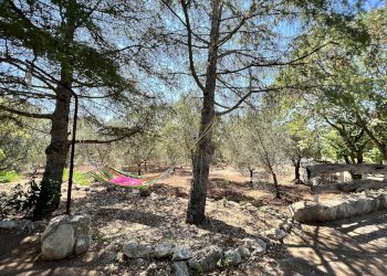 Foto 9 - Rustico Contrada Palascuso, Ceglie Messapica - foto 9