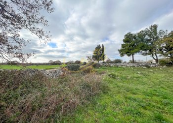 Foto 8 - Rustico Contrada Giordano, Noci - foto 8