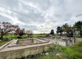 Foto 10 - Rustico Contrada Giordano, Noci - foto 10