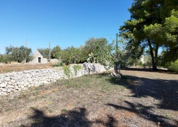 Foto 15 - Villa Contrada Chiobbica, Ostuni - photo 15