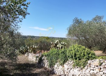 Foto 17 - Villa Contrada Chiobbica, Ostuni - photo 17