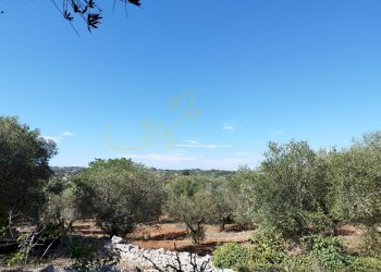 Foto 18 - Villa Contrada Chiobbica, Ostuni - photo 18