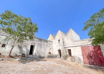 Foto 3 - Rustico Contrada Santa Lucia, Monopoli - foto 3