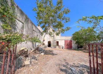 Foto 4 - Rustico Contrada Santa Lucia, Monopoli - foto 4