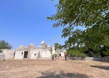 Foto 5 - Rustico Contrada Santa Lucia, Monopoli - foto 5