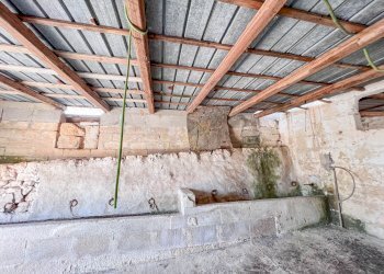 Foto 11 - Rustico Contrada Santa Lucia, Monopoli - foto 11