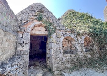 Foto 12 - Rustico Contrada Santa Lucia, Monopoli - foto 12