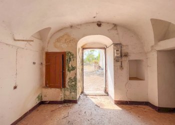 Foto 20 - Rustico Contrada Santa Lucia, Monopoli - foto 20