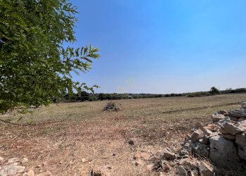 Foto 22 - Rustico Contrada Santa Lucia, Monopoli - foto 22