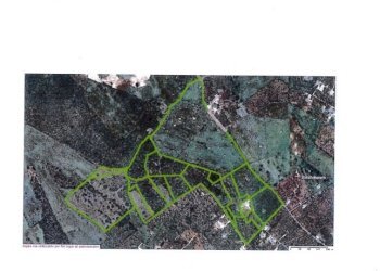 Foto 24 - Rustico Contrada Santa Lucia, Monopoli - foto 23