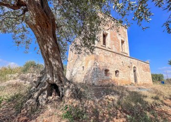 Foto 4 - Rustico Contrada Gorgorenzo, Conversano - foto 4