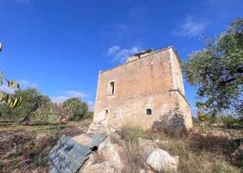 Foto 5 - Rustico Contrada Gorgorenzo, Conversano - foto 5