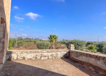 Foto 6 - Rustico Contrada Gorgorenzo, Conversano - foto 6