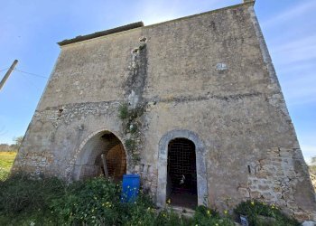 Foto 18 - Rustico Contrada Gorgorenzo, Conversano - foto 18