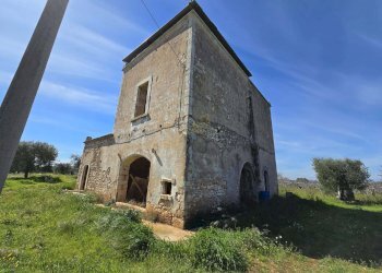 Foto 19 - Rustico Contrada Gorgorenzo, Conversano - foto 19