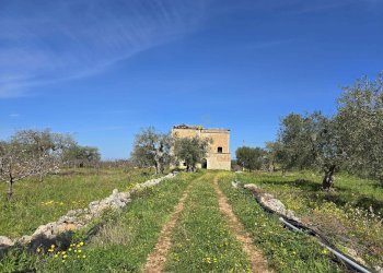 Foto 21 - Rustico Contrada Gorgorenzo, Conversano - foto 21