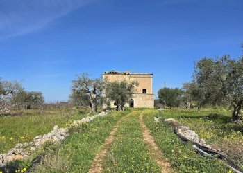 Foto 22 - Rustico Contrada Gorgorenzo, Conversano - foto 22