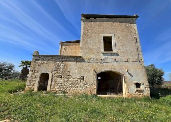 Foto 24 - Rustico Contrada Gorgorenzo, Conversano - foto 24