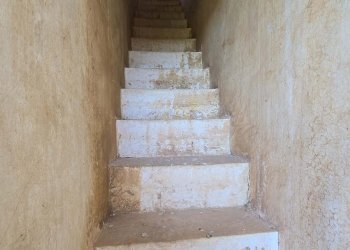 Foto 26 - Rustico Contrada Gorgorenzo, Conversano - foto 26