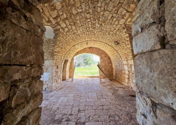 Foto 38 - Rustico Contrada Gorgorenzo, Conversano - foto 38