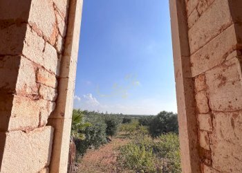 Foto 40 - Rustico Contrada Gorgorenzo, Conversano - foto 40