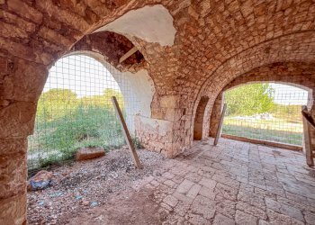 Foto 46 - Rustico Contrada Gorgorenzo, Conversano - foto 46